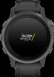 Fenix 6S verkopen