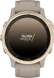 Fenix 6S Pro