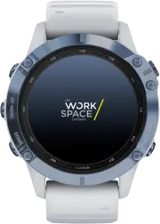 Fenix 6