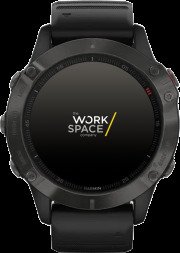 Fenix 6 Pro verkopen