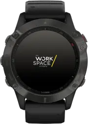 Fenix 6 Pro