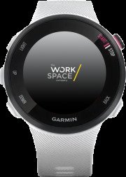 Forerunner 45s verkopen